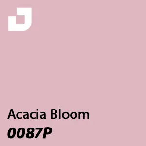 0087P - Acacia Bloom