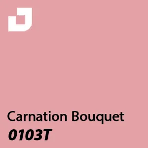 0103T - Carnation Bouquet