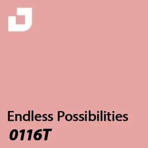 0116T - Endless Possibilities
